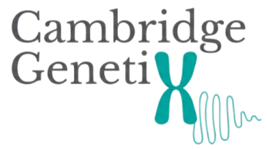 Gemini_Generated_Image_c0admfc0admfc0ad-removebg-preview