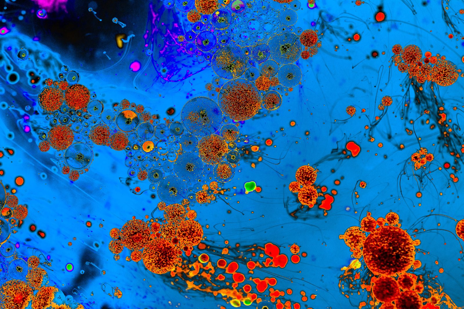 microscopic-shot-of-the-cells-of-a-virus-with-vivi-2025-02-11-17-55-53-utc